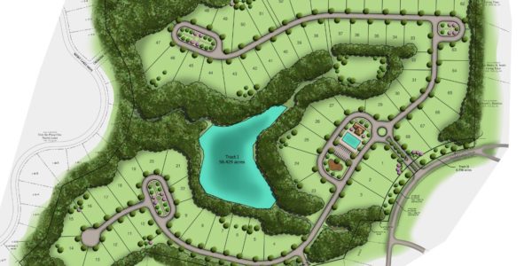 Briarstone at Nesbit Lakes Concept Plans