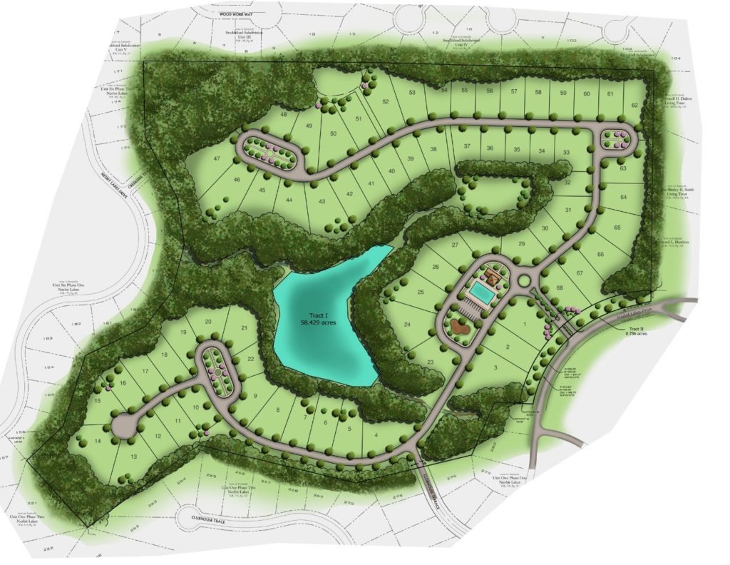 Concept Plan | Briarstone at Nesbit Lakes | Travis Pruitt and Associates